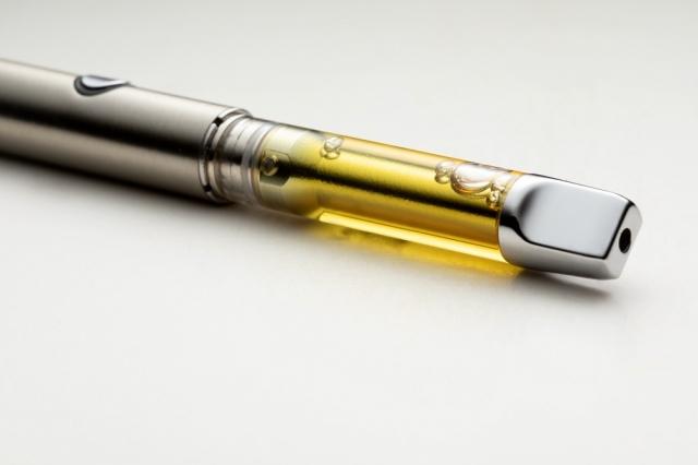 Handheld Marijuana Vaporizers Market Forecast | Trends, Size, Share 2025-2033